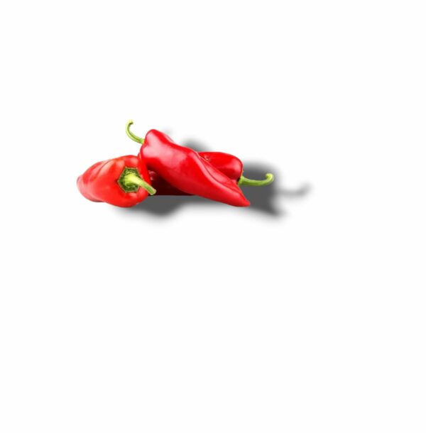 POIVRON CORNE DE BOEUF ROUGE