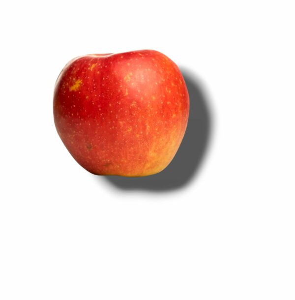 POMME PINOVA