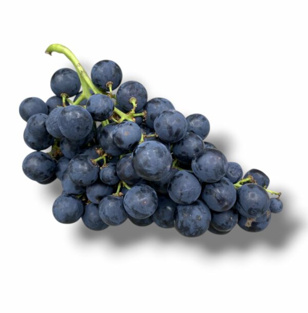 RAISIN NOIR
