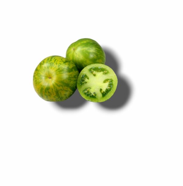 TOMATE RONDE GREEN ZEBRA