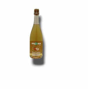 PETILLANT DE POMME DU VAL DE LOIRE 75 CL
