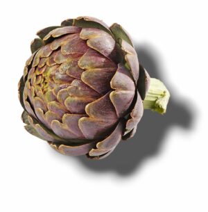 ARTICHAUT VIOLET