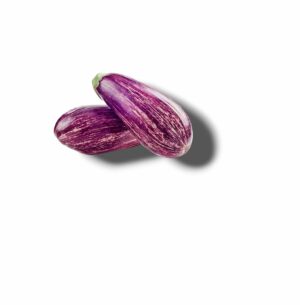 AUBERGINE BI-COLORE ARLEQUIN DU LOIRET