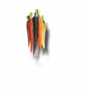 CAROTTE DE COULEURS MELANGEES