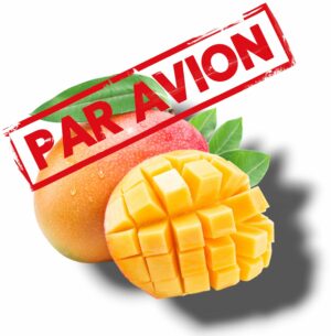 MANGUE JAUNE EXPEDIEE PAR AVION