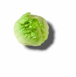 SALADE LAITUE ICEBERG