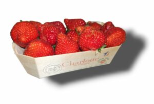 FRAISE CHARLOTTE DE SOLOGNE BOIS 500 GR