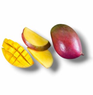 MANGUE VIOLETTE GROS CALIBRE