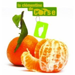 CLEMENTINE FEUILLE DE CORSE
