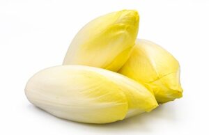 ENDIVE