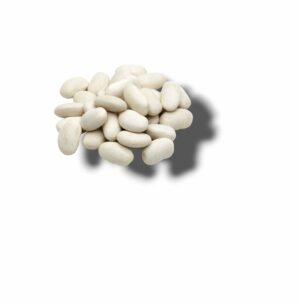 HARICOT BLANC LE MOULIN LAURENTAIS