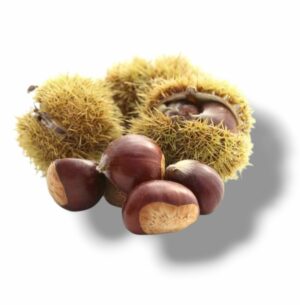 CHÂTAIGNE OU MARRON