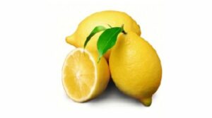 CITRON DE CORSE A FEUILLE
