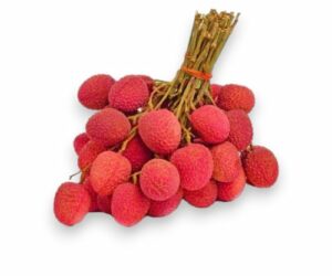 LITCHI BRANCHE AVION DE LA REUNION