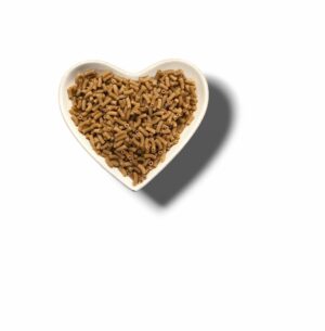 PÂTES SECHES COQUILLETTES LE MOULIN LAURENTAIS