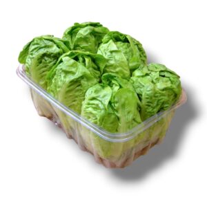 SALADE COEUR DE SUCRINE BARQUETTE DE 6