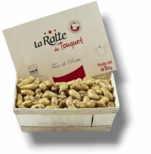 P. DE TERRE A CHAIR FERME RATTE