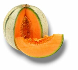MELON CALIBRE MOYEN DES ANTILLES