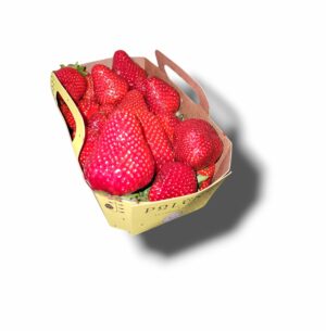 FRAISE DREAM PANIER 500 GR