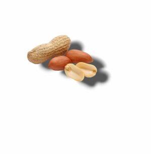 ARACHIDE EN COQUE GRILLEE