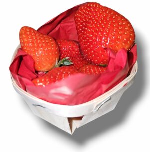 FRAISE CLERY PANIER DE 250 GR