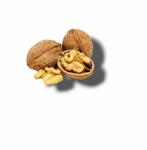 NOIX DU LOIR ET CHER RECOLTE 2025