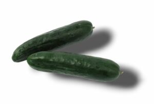 CONCOMBRE NOA DU LOIRET