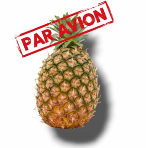 ANANAS AVION GROS CALIBRE