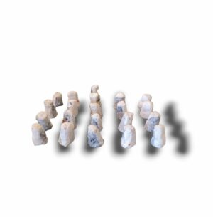 APERO BIQUE FERMIER BARQUETTE DE 21 PIECES