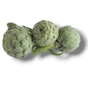 ARTICHAUT BLANC PETIT CALIBRE