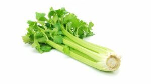 CELERI BRANCHE VERT