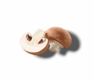 CHAMPIGNON BLOND DE PARIS