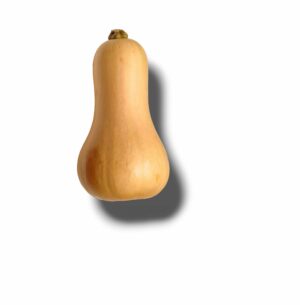 COURGE BUTTERNUT
