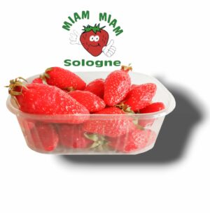 FRAISE GARIGUETTE DE SOLOGNE 250 GR