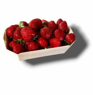 FRAISE MAGNUM DE SOLOGNE BARQUETTE 500 GR