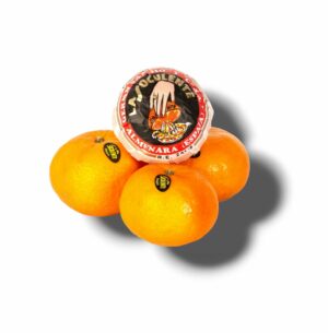 MANDARINE LA SOCULENTE