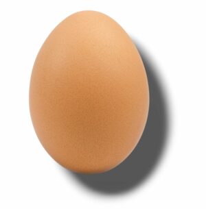 OEUF DE POULE ELEVEE EN PLEIN AIR CALIBRE TRES GROS