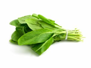 OSEILLE DU LOIRET BOTTE