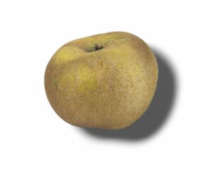 POMME CANADA GRIS