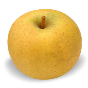 POMME CHANTECLERC GROS CALIBRE