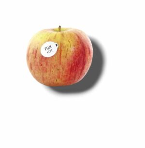 POMME FUJI GROS CALIBRE