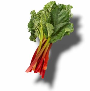 RHUBARBE DU LOIRET