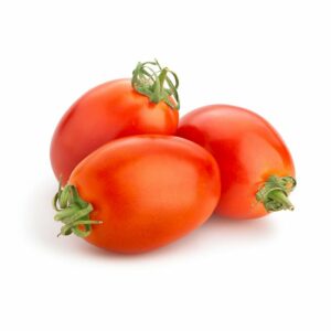 TOMATE ALLONGEE OLIVINE DU LOIRET