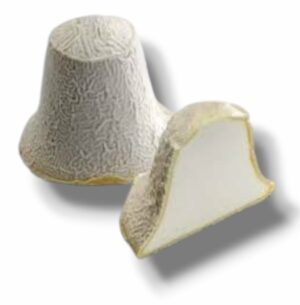 CLOCHE DE PÂQUES SÉLECTION JACQUIN ET FILS