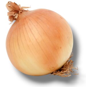 OIGNON JAUNE GROS CALIBRE