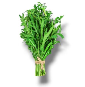 ROQUETTE DU LOIRET BOTTE