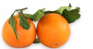 ORANGE A FEUILLES