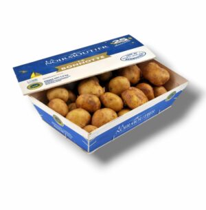 POMME DE TERRE PRIMEUR DE NOIRMOUTIER BONNOTTE