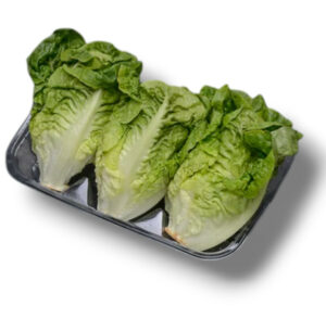 SALADE COEUR DE SUCRINE BARQUETTE DE 3