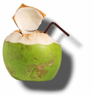 NOIX DE COCO FRAICHE "COCONUT"